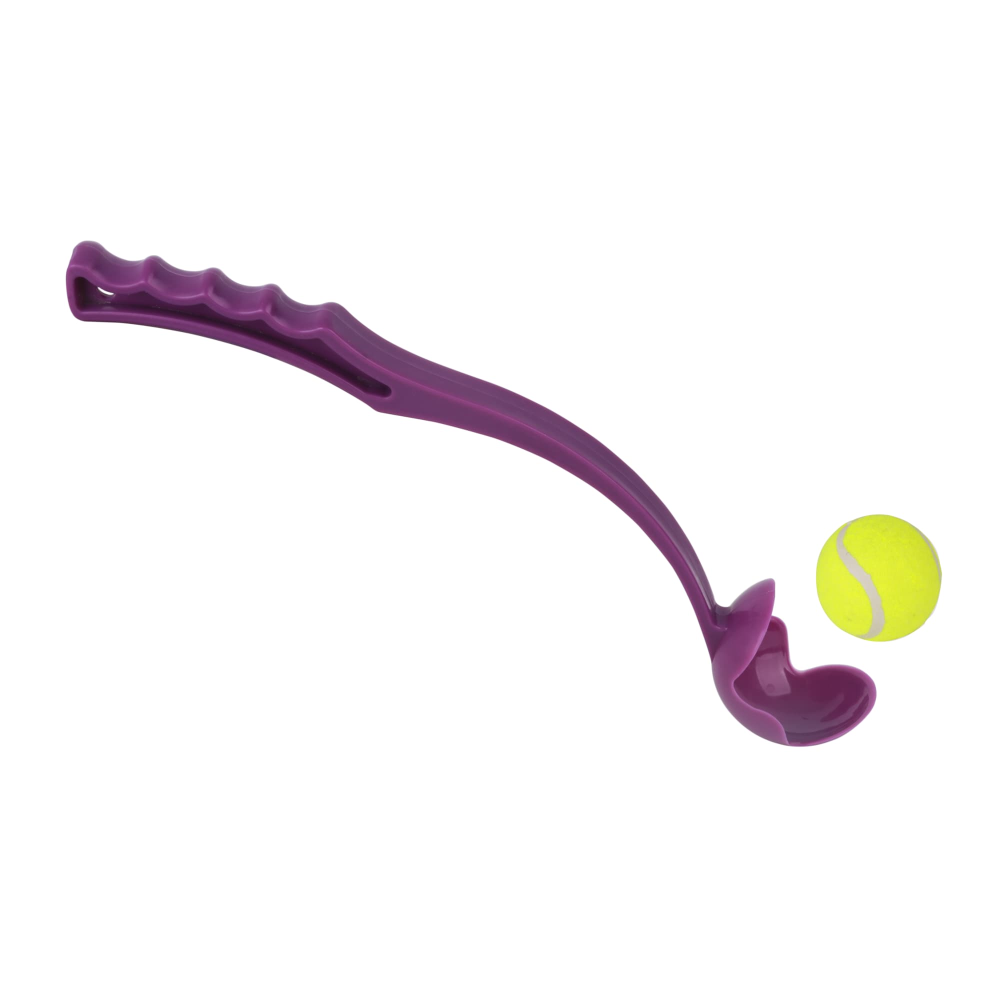 Ball Thrower - PXH001 Image 