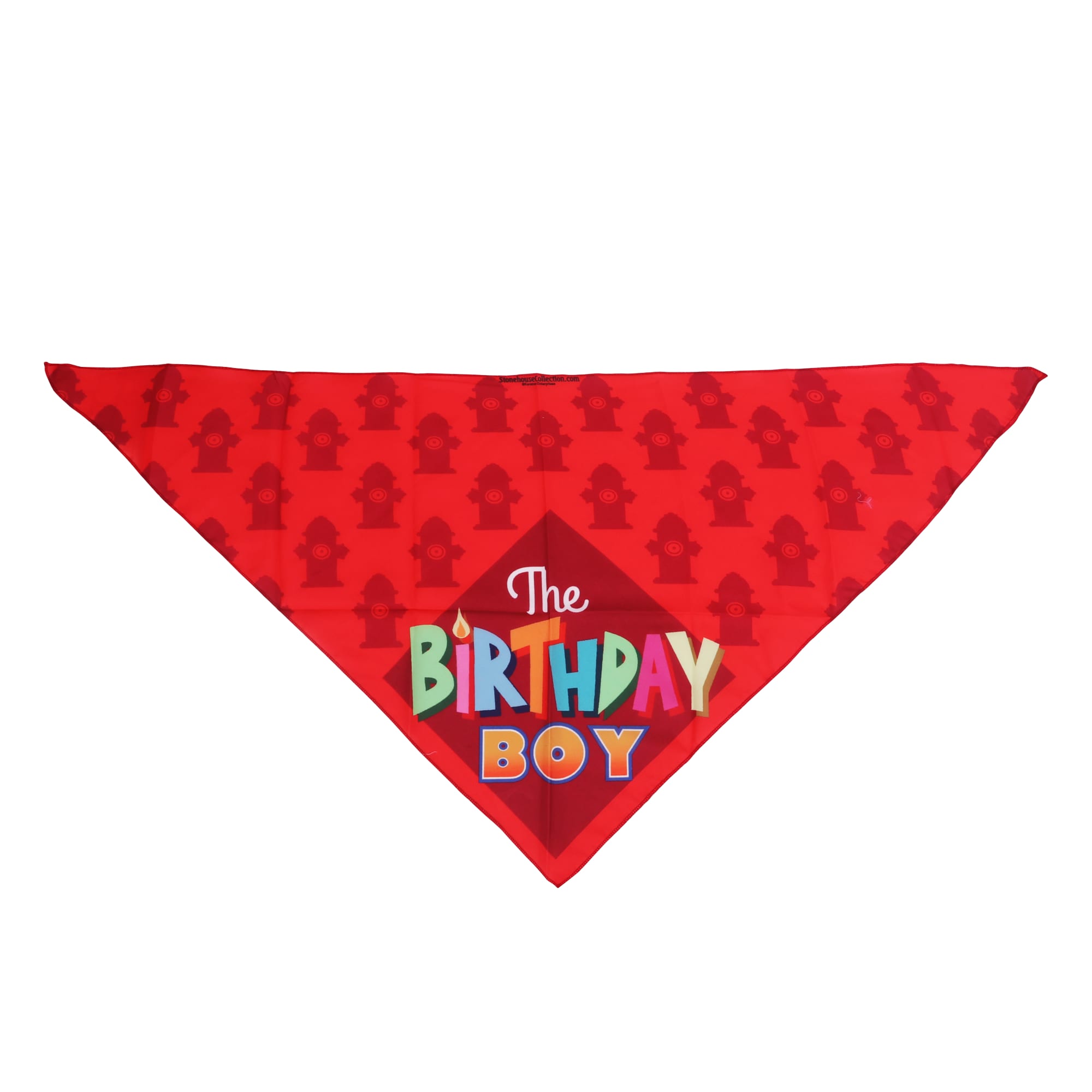 Triangle Pet Bandana - PXH005 Image 
