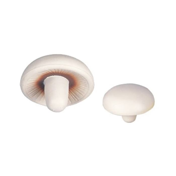 Mushroom Shape Stress Reliever - PXR102 Image 
