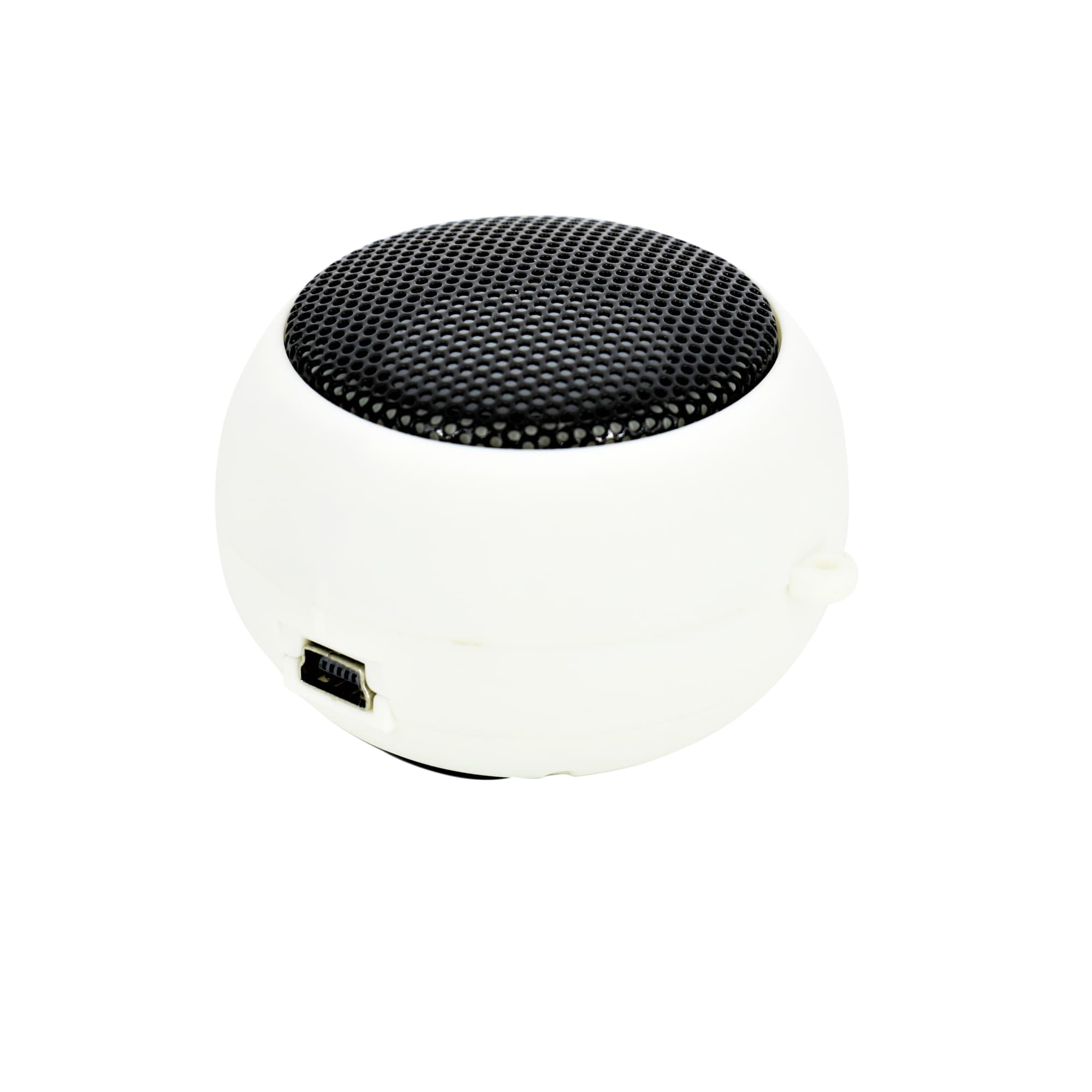 Hamburg Speaker with Cable - PXT002 Image 