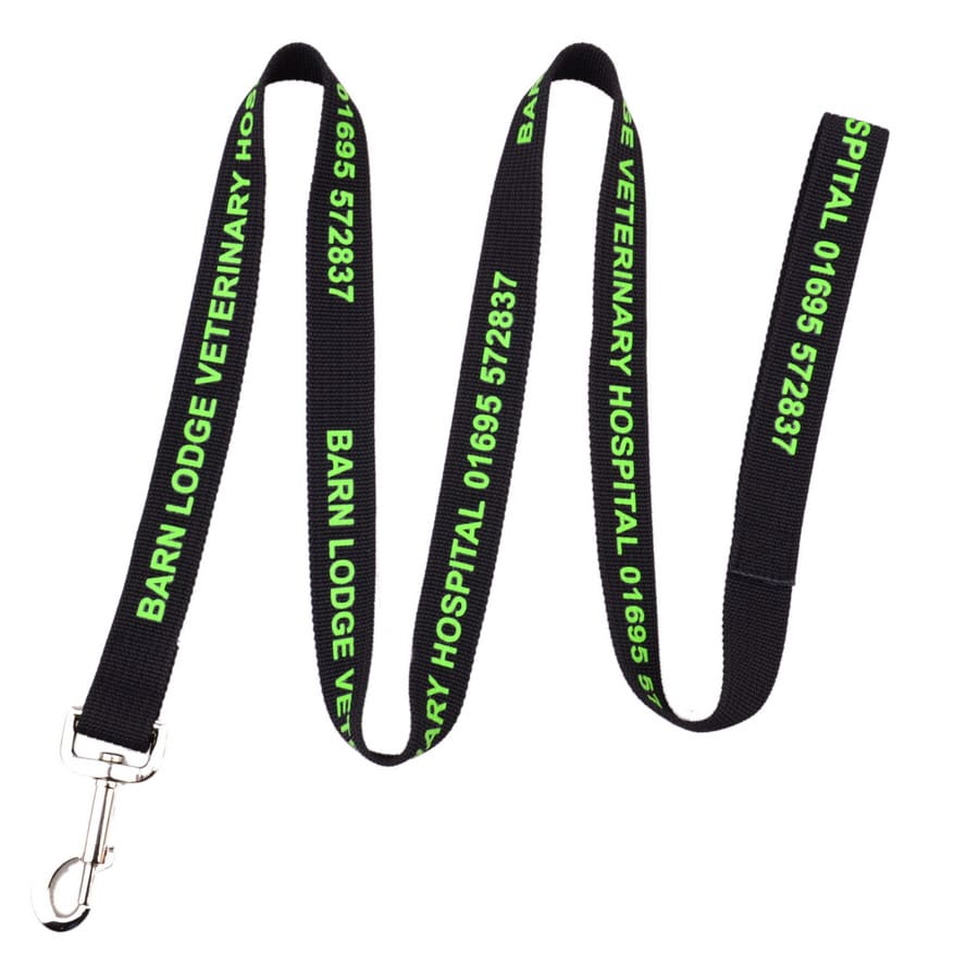 Polyester Dog Leash - PCL45 Image