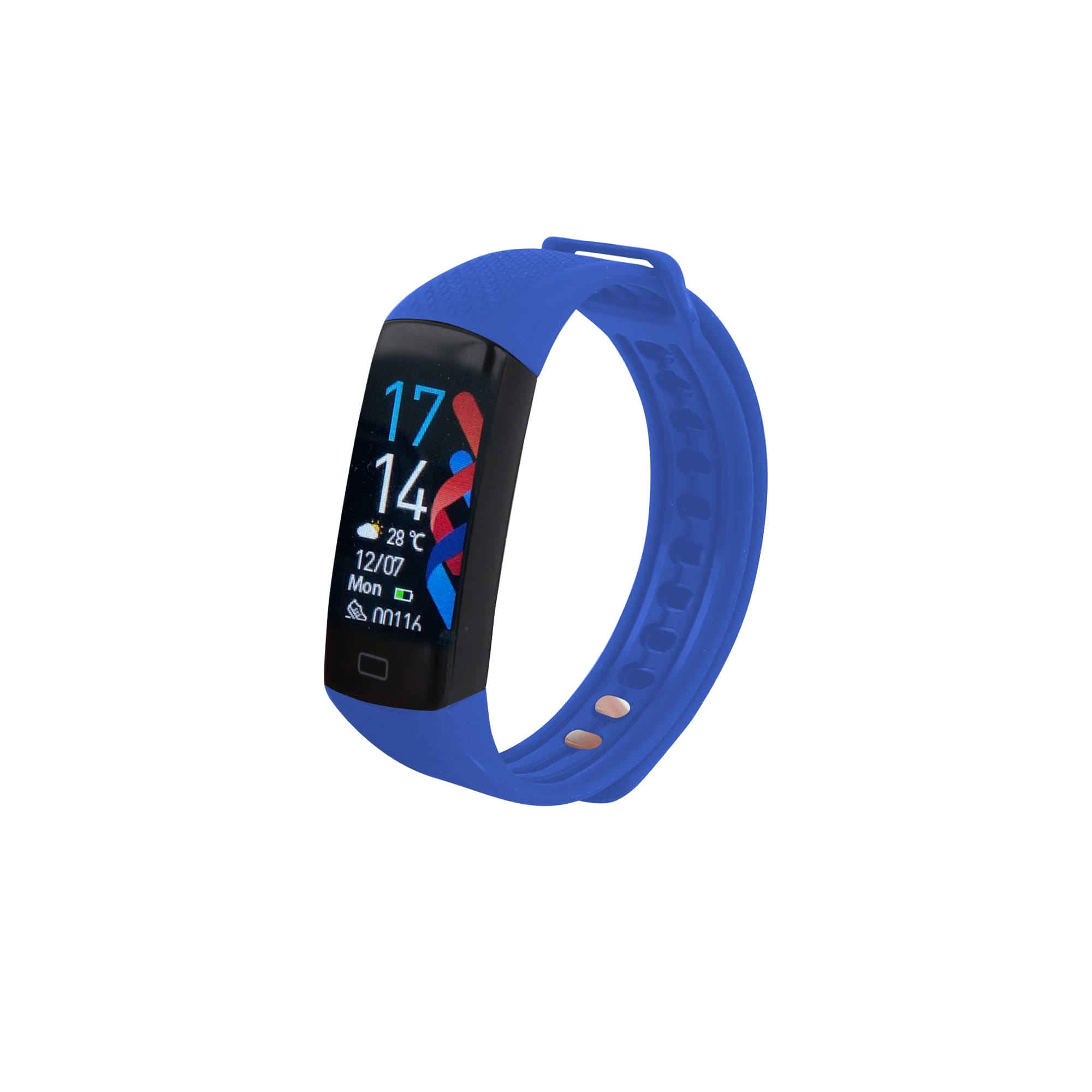 Multifunctional Smart Band