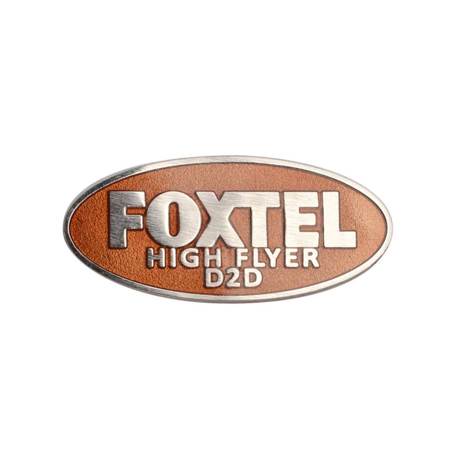 A hard enamel pin in oval shape featuring a bronze and silver design with a logo and text.