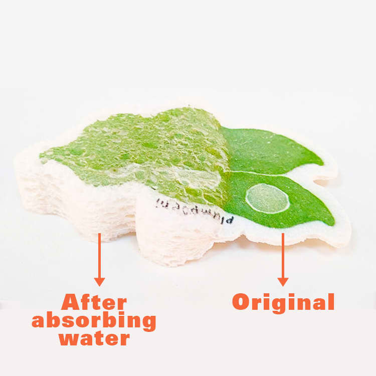 Custom Expandable Dishwashing Sponge