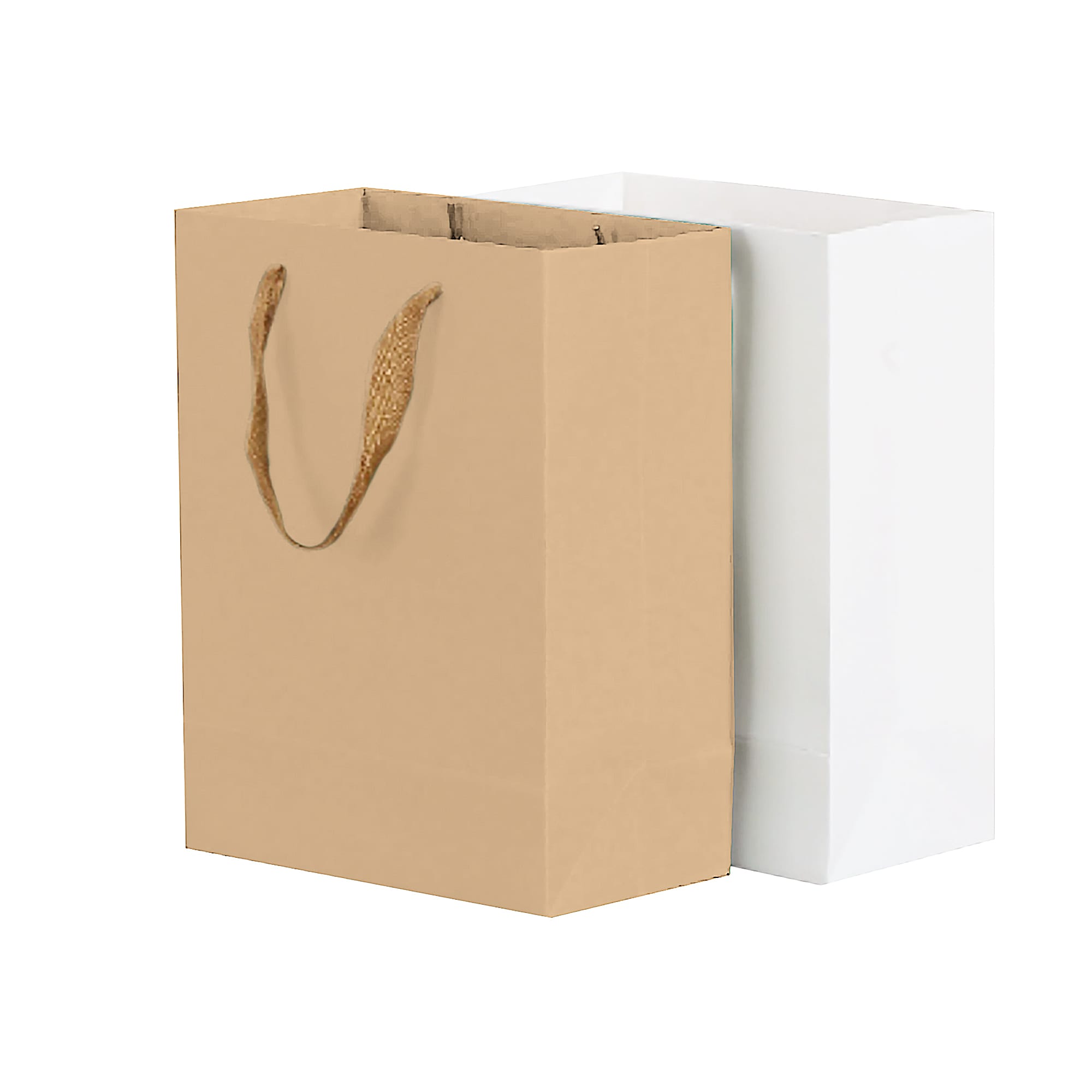 Large Vertical Paper Bag with Fabric Flat Handle(300 x 400 x 110mm)