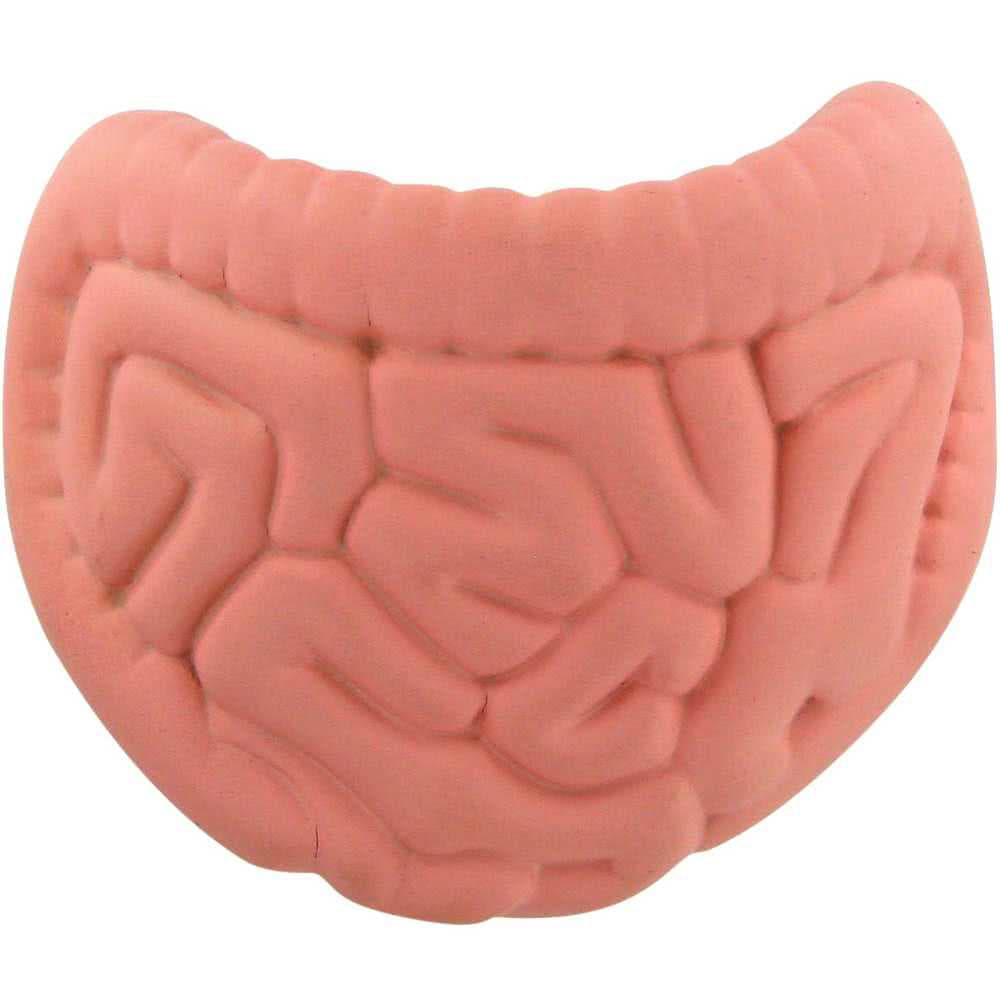 A pink intestines-shaped stress reliever with textured details, designed for fun and relaxation.