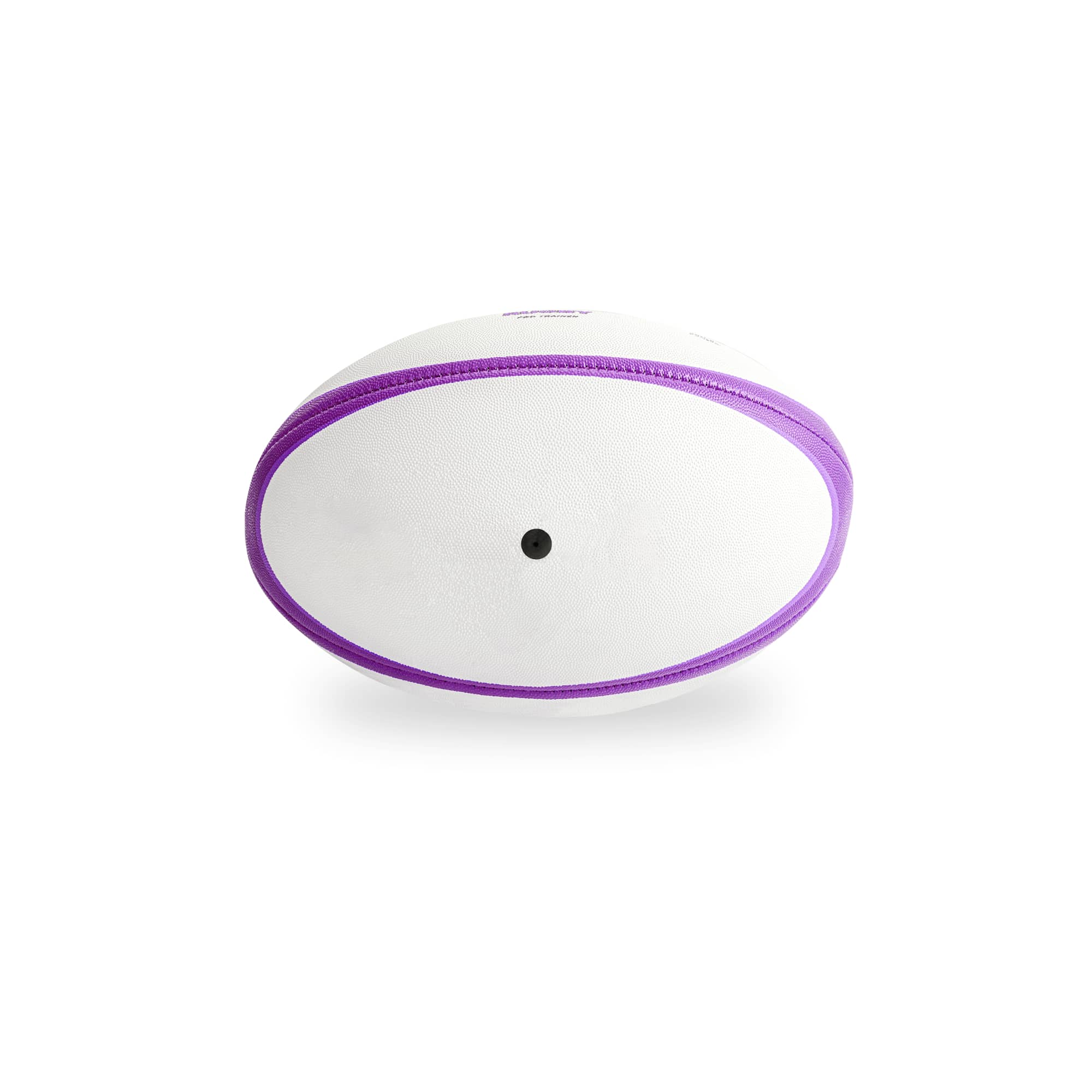Training Rugby Ball - PCH308 Image 