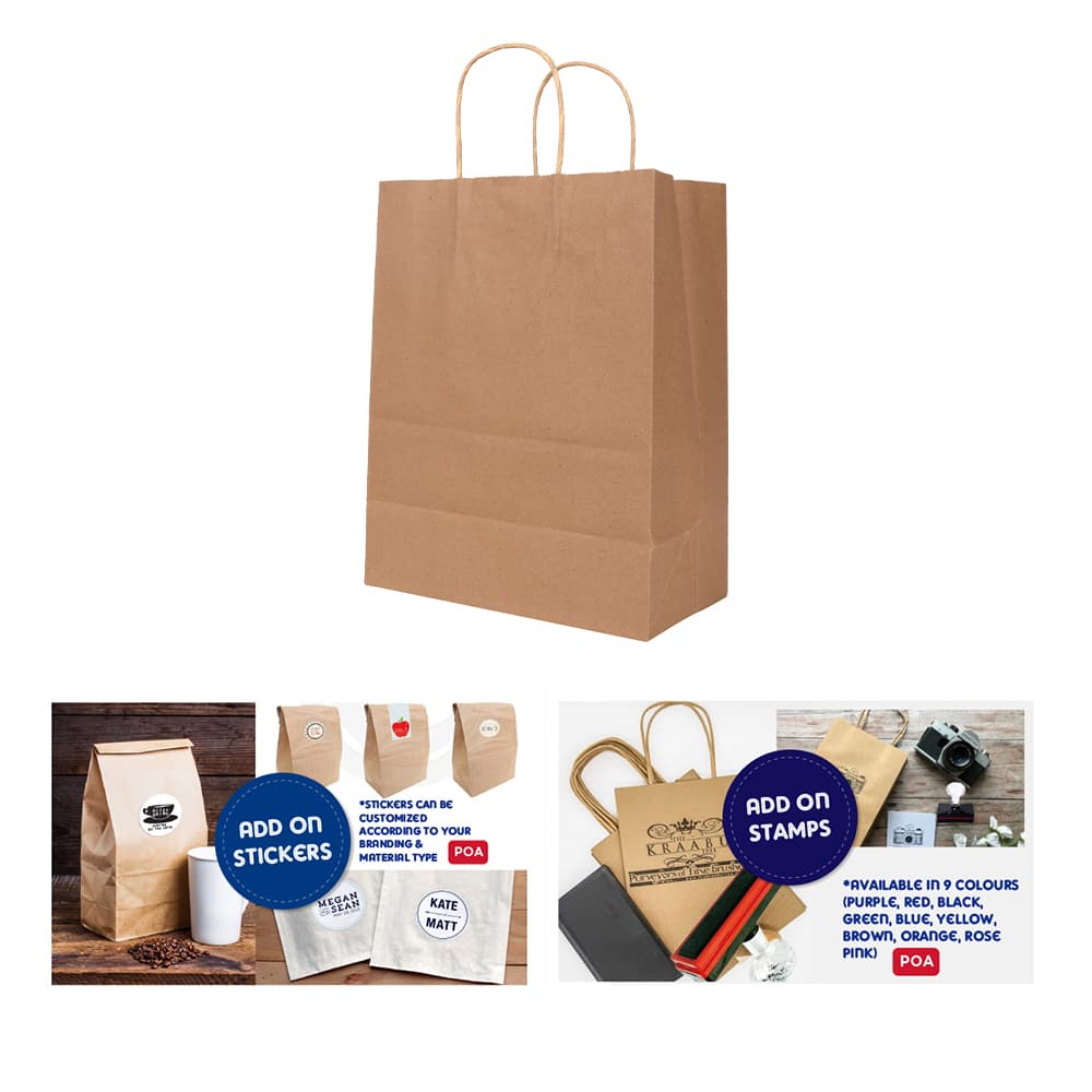 Twisted Handle Kraft Paper Bag(260x330x120mm) - PCPB012 Image 