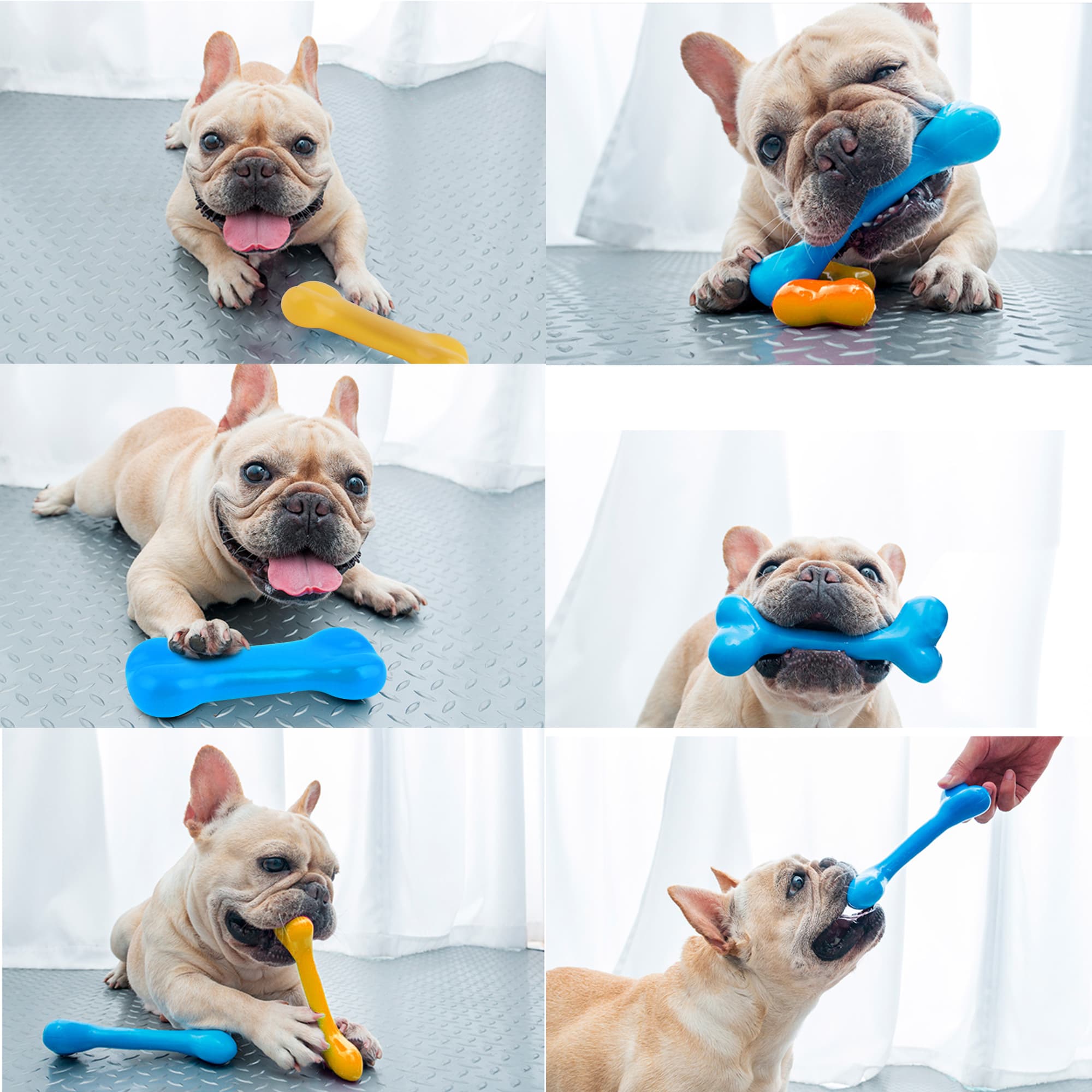 PVC Dog Bone - PCH272 Image