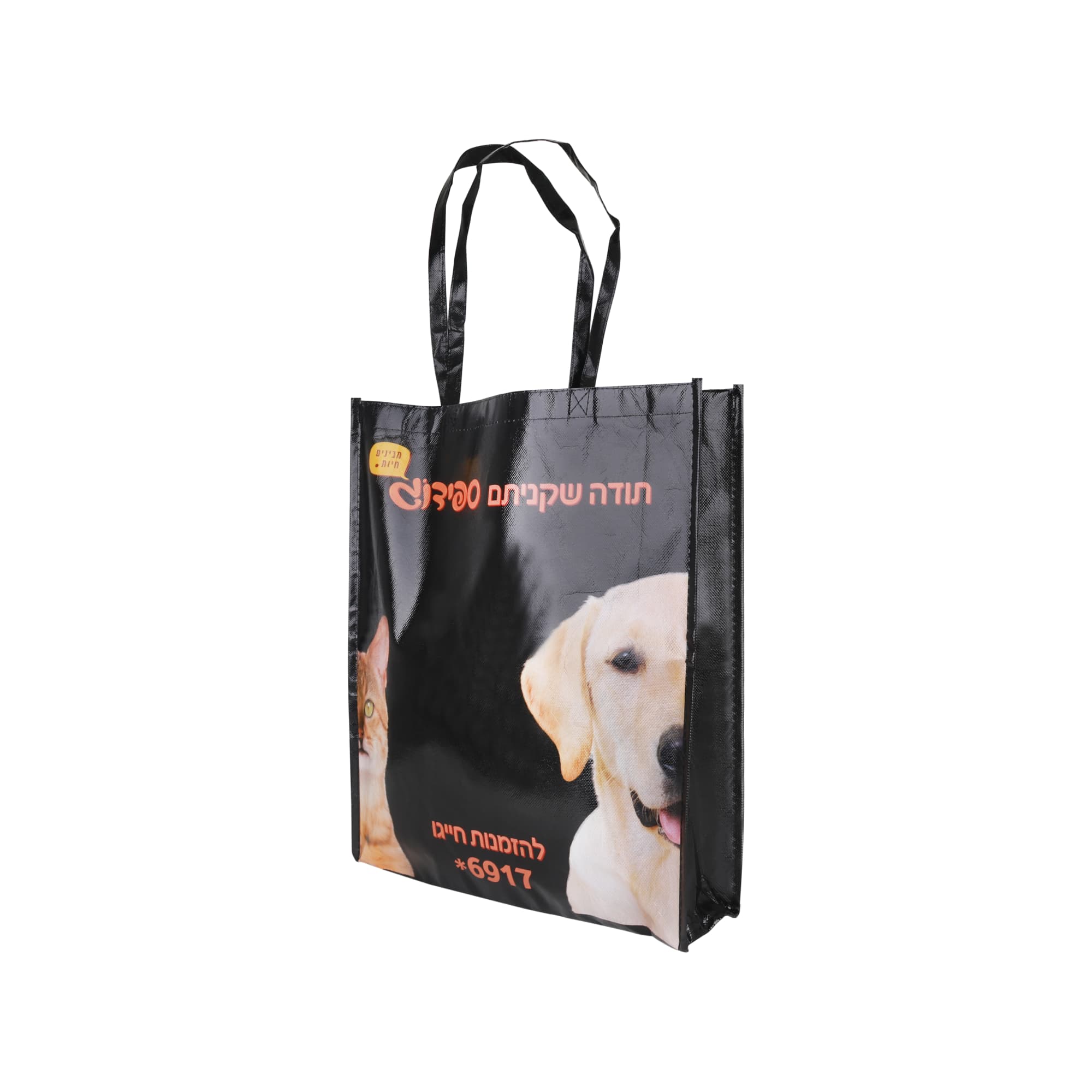 Laminated Non Woven Bag with Large Gusset - PXB029 Image 