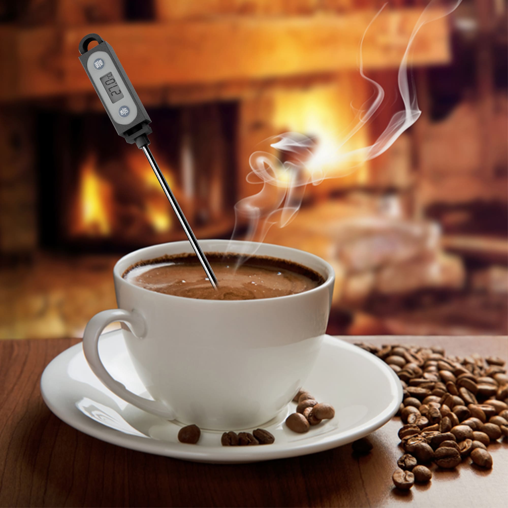 Instant Read Thermometer with Long Probe