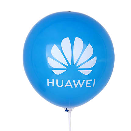 30cm Balloons - PCH190 Image