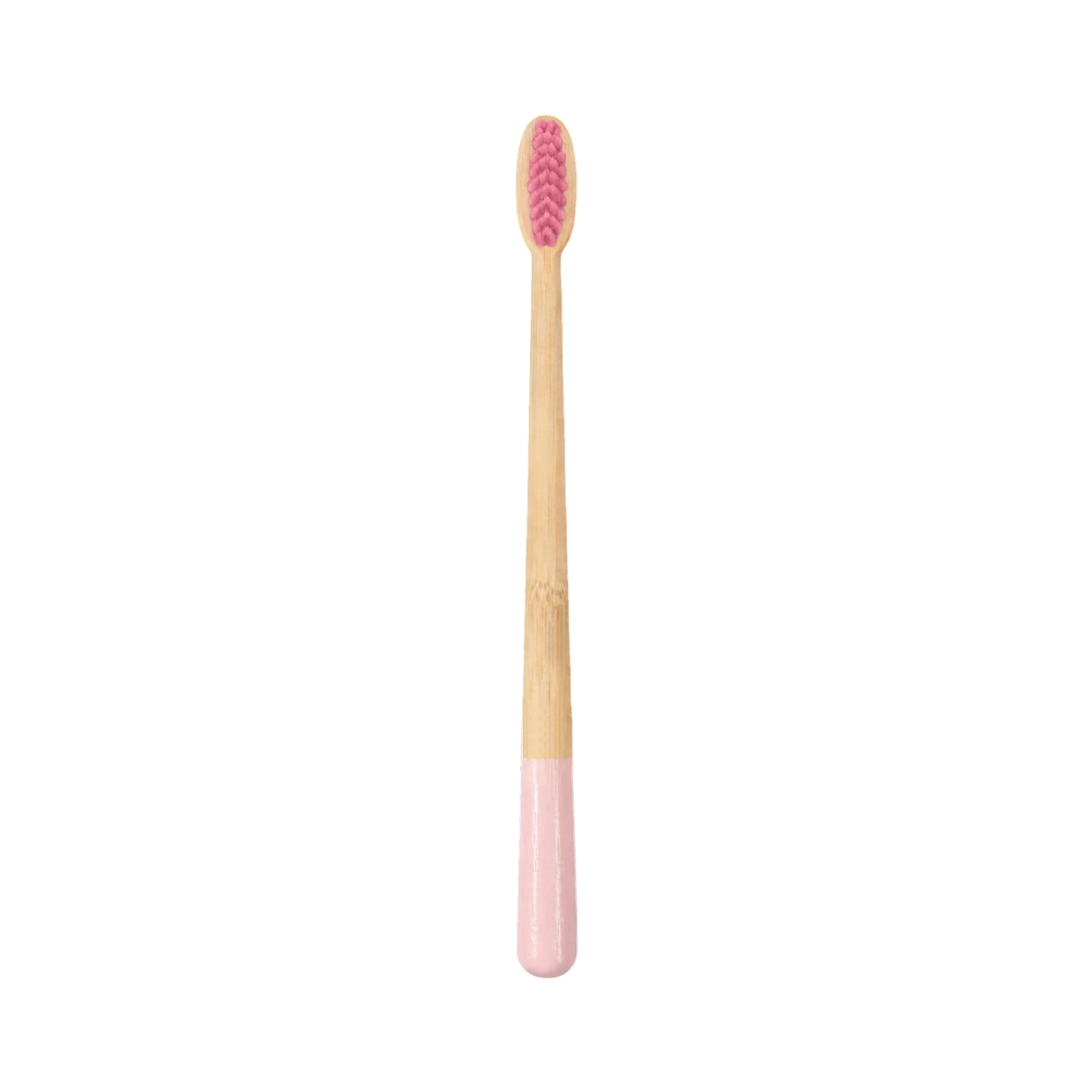 Alternative view of Large Conical Handle Colorful Toothbrush