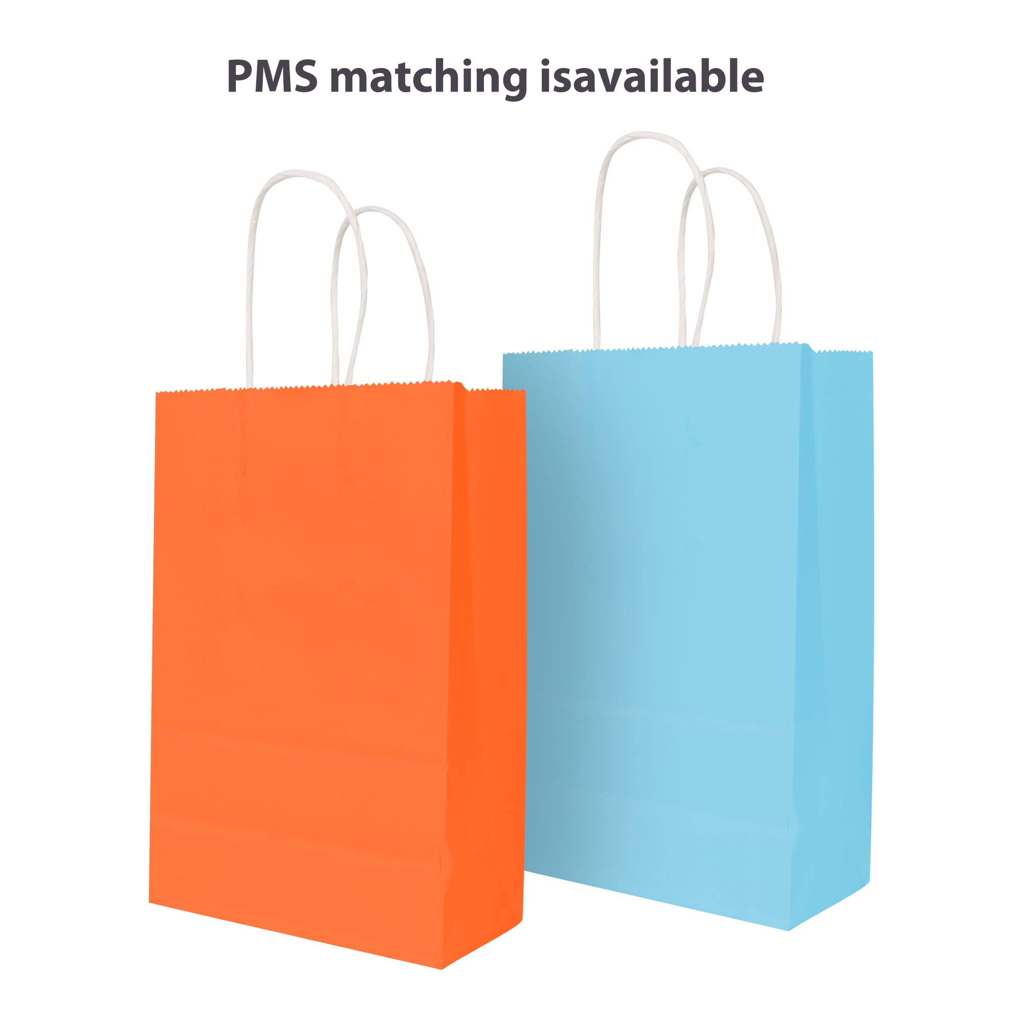 Twisted Handle Kraft Paper Bag (220x160x80mm) - PCPB010 Image 