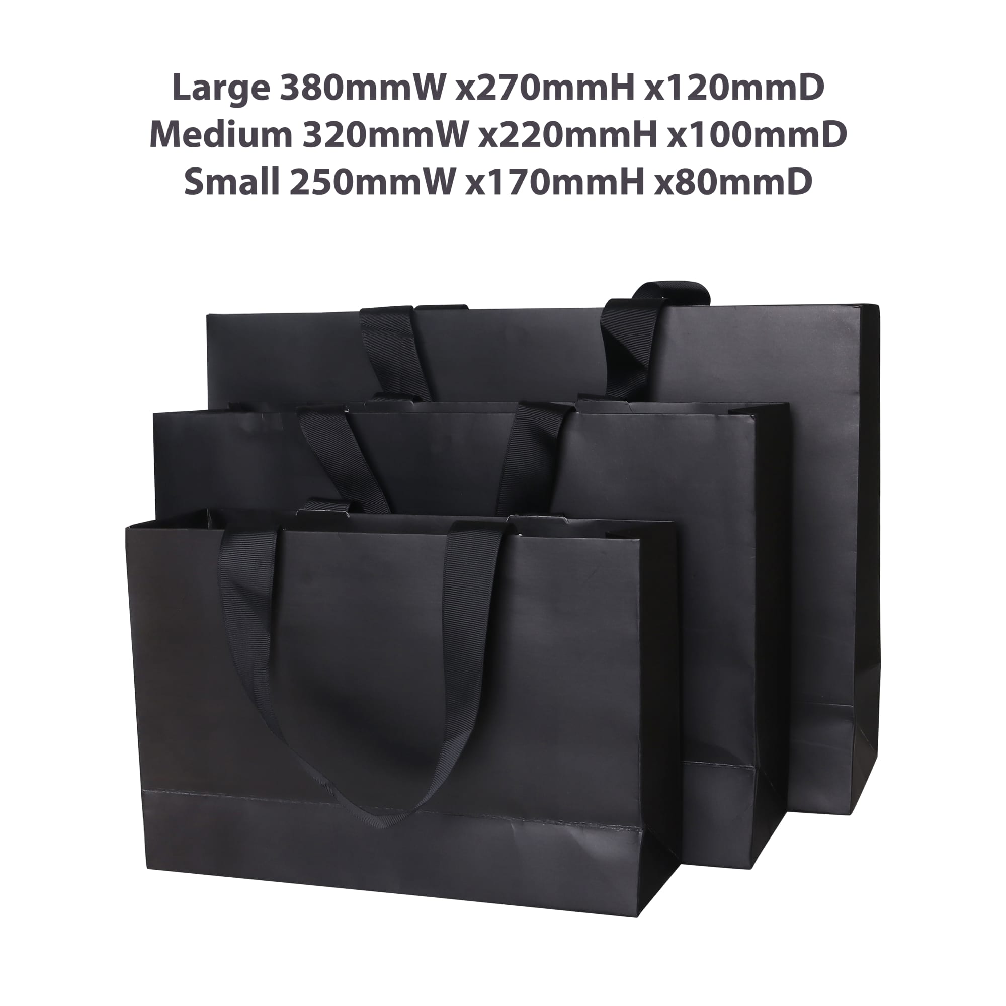 Small Paper Bag with Flat Handle(250 x 170 x 80mm) - PCPB160 Image