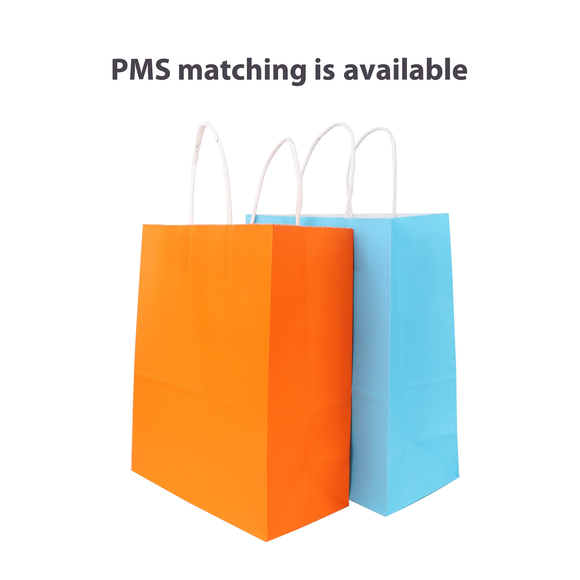 Alternative view of Twisted Handle Kraft Paper Bag(220x270x110mm)