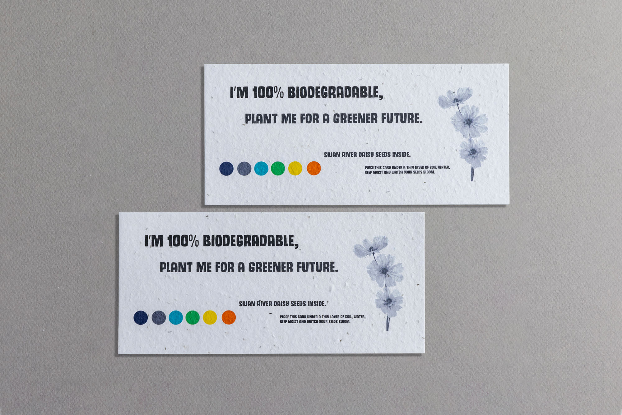 Seed Paper DL
