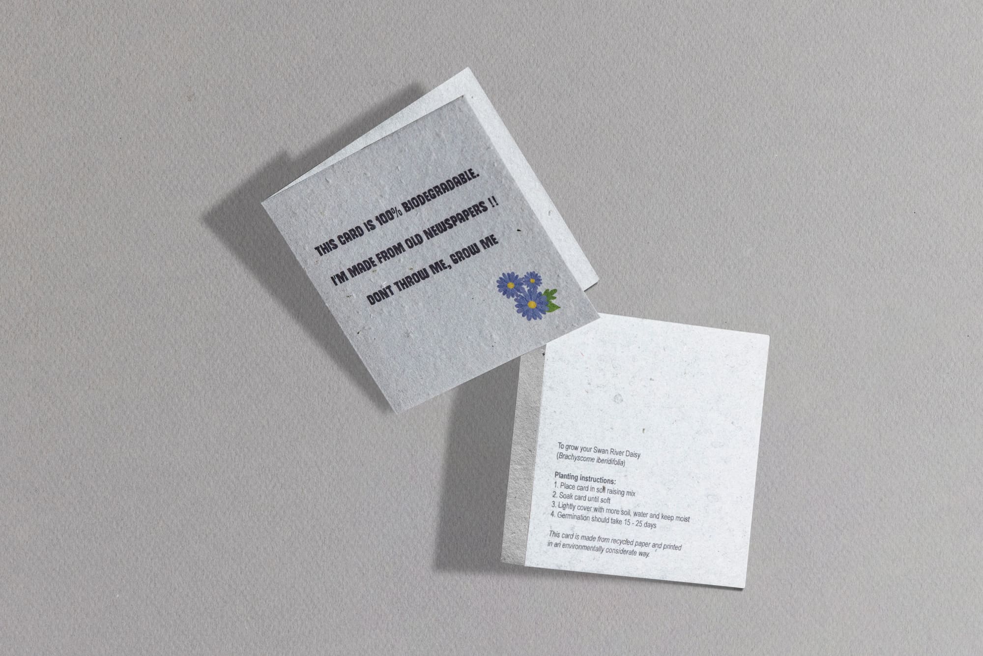 Seed Paper Greeting Card Small