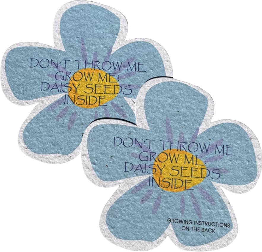 Seed Paper daisy