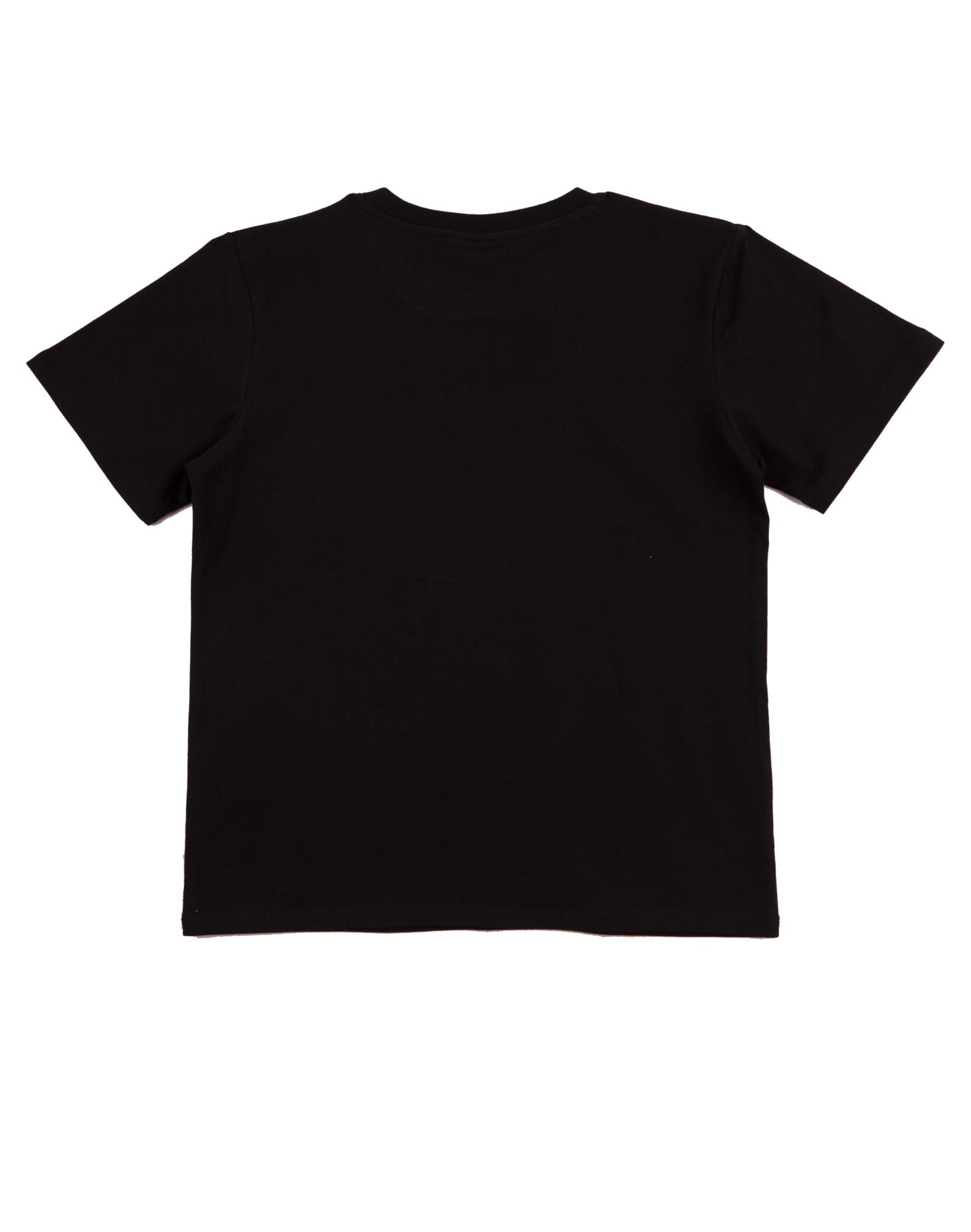 Men's fitted stretch tee SH-TS16