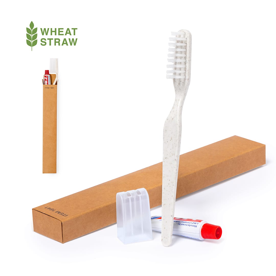 Dental Kit Set