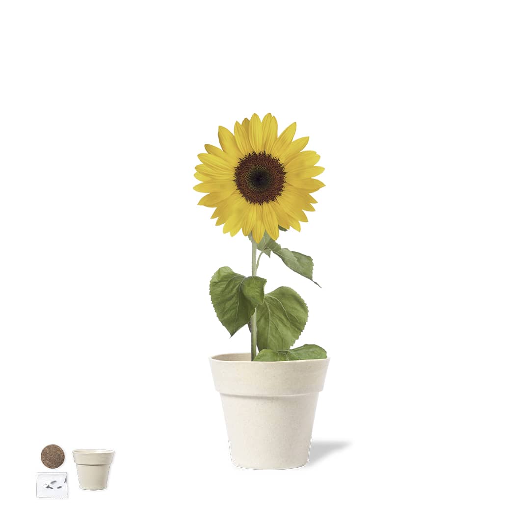 Tumil Gift Set promotional product
