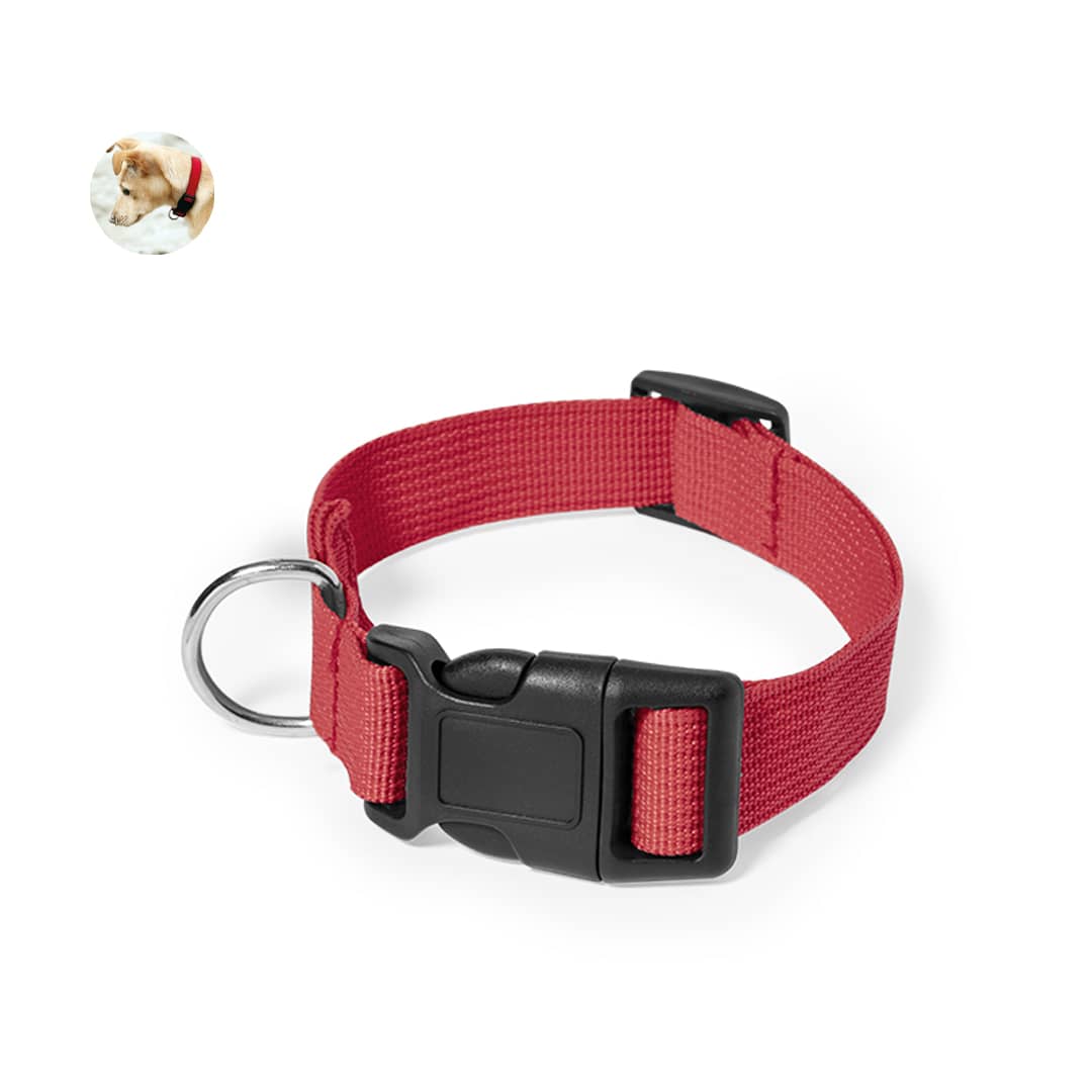 Mastif Pet Collar
