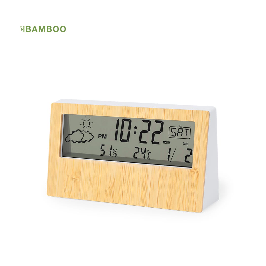 Roamer Weather Station promotional product