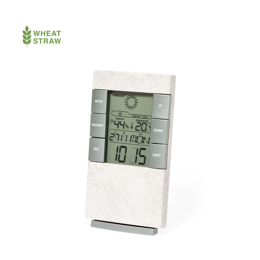 Maginly Weather Station promotional product