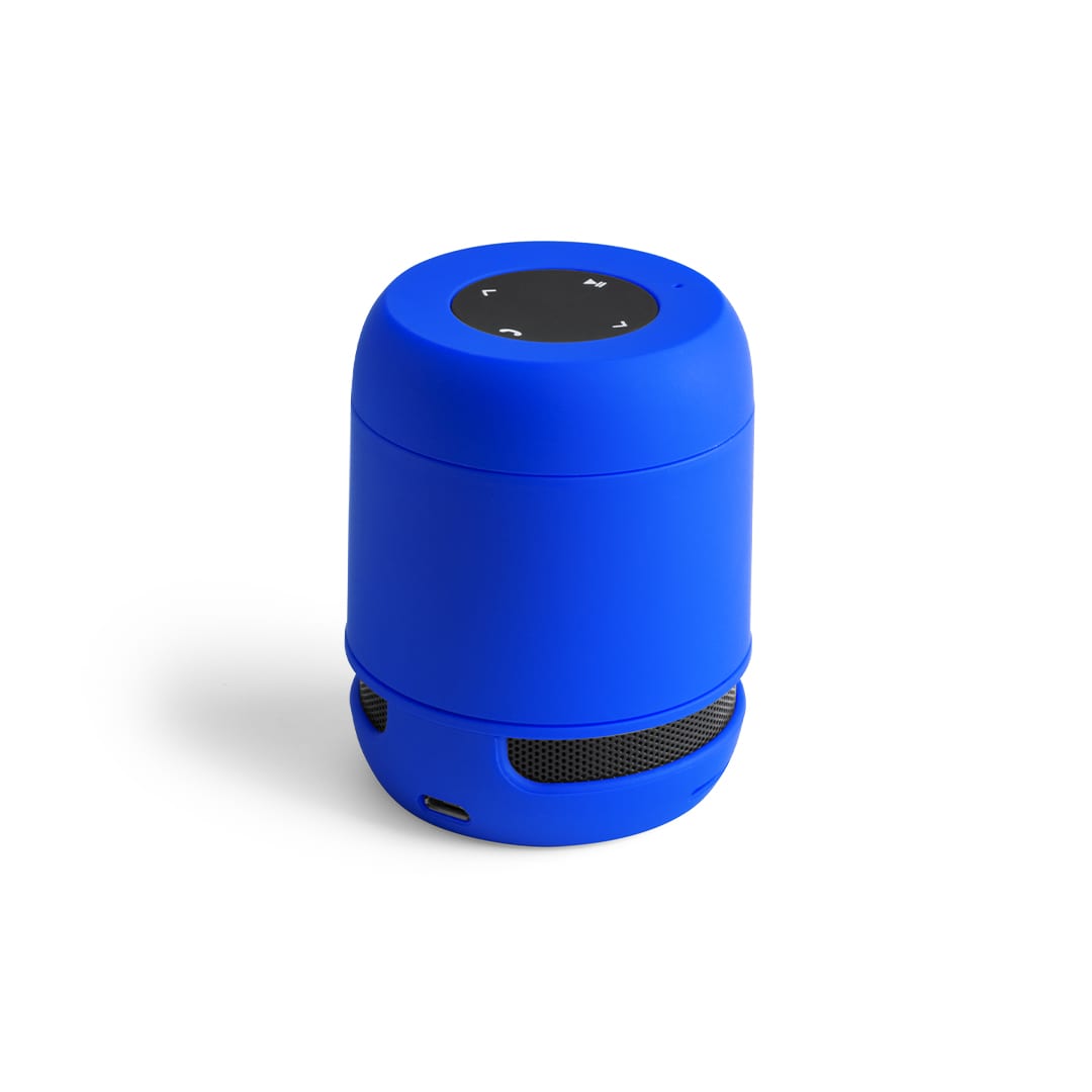Braiss Bluetooth Speaker promotional product