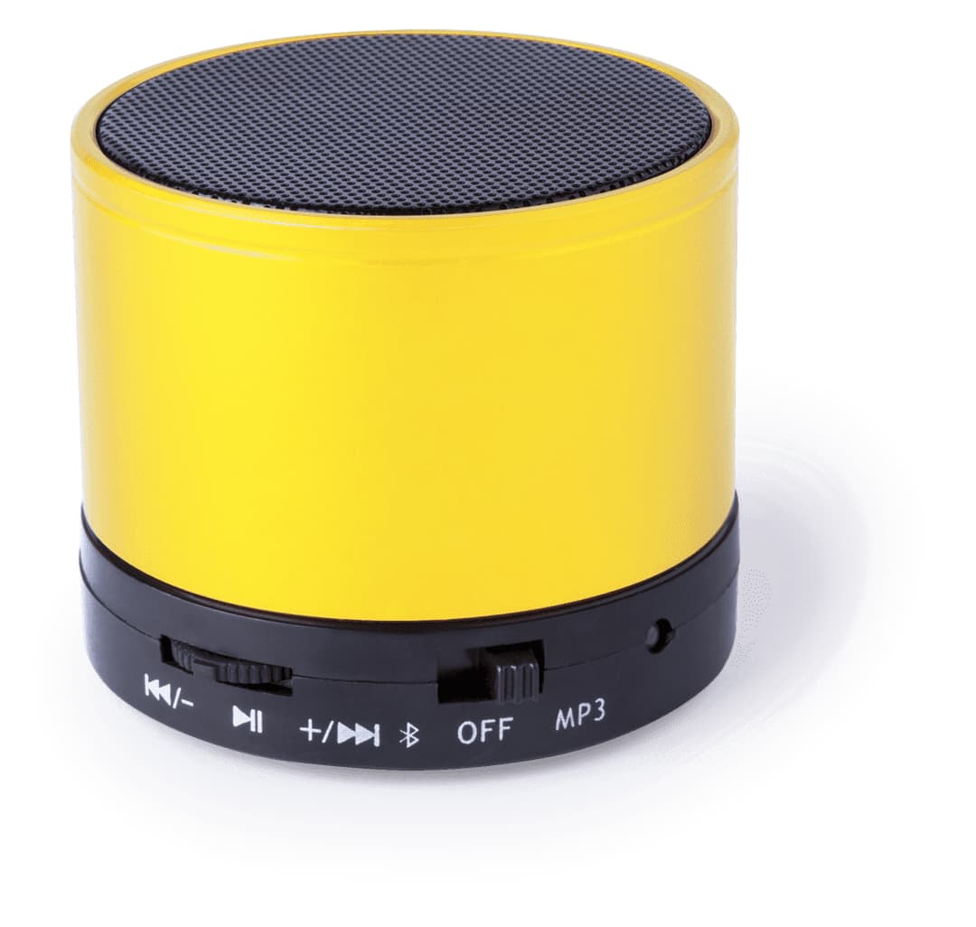 Martins Speaker