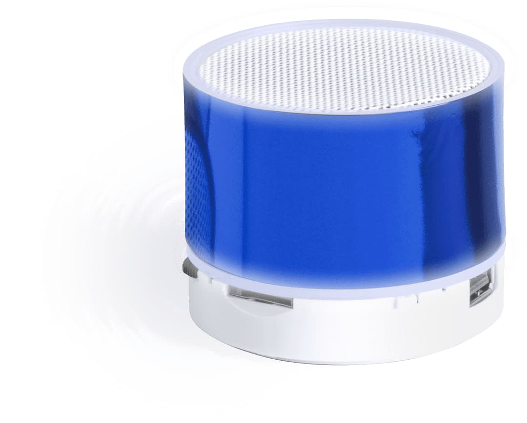 Viancos Speaker