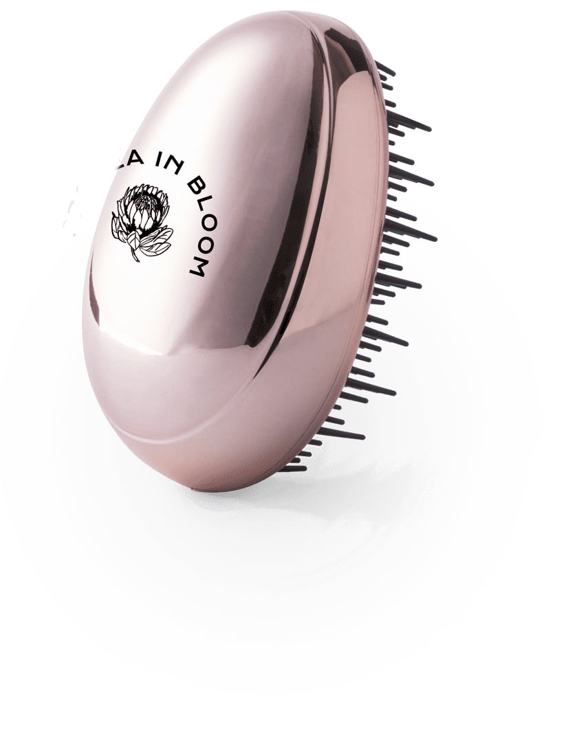 Tramux Hairbrush promotional product
