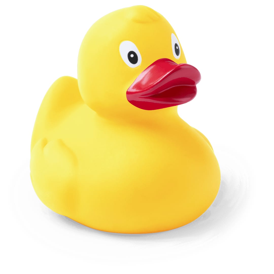Koldy Duck