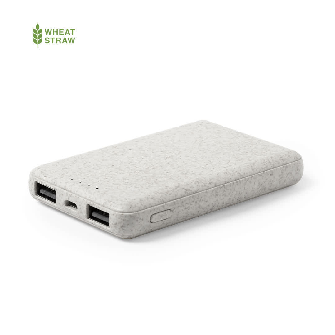 Shiden Power Bank
