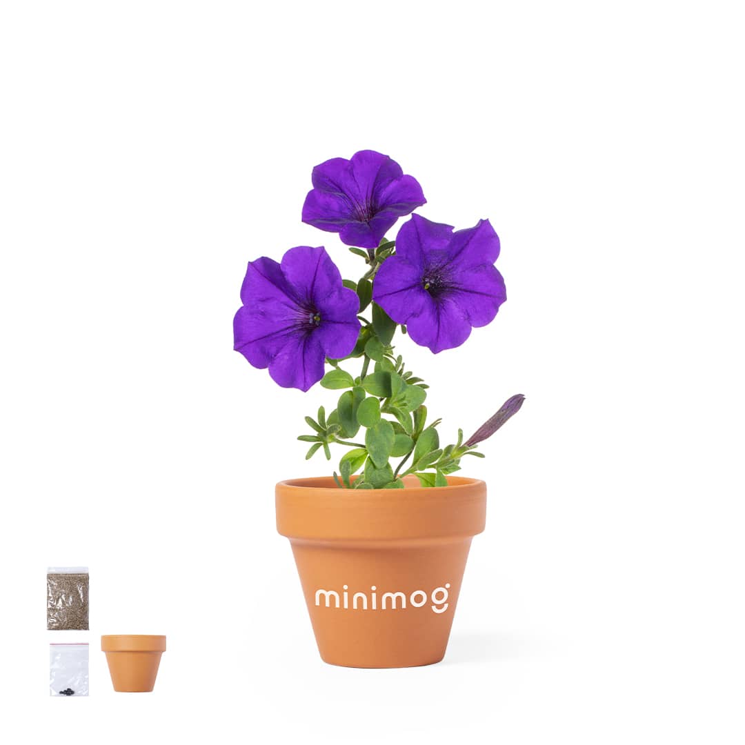 Soltax Gift Set promotional product