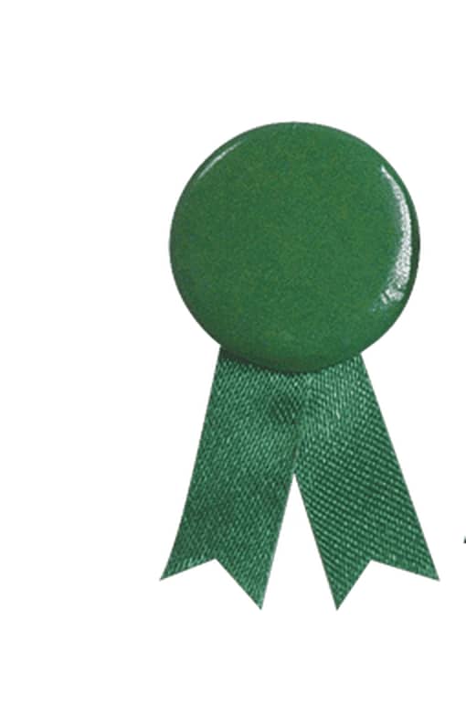 Solidario Pin Loop