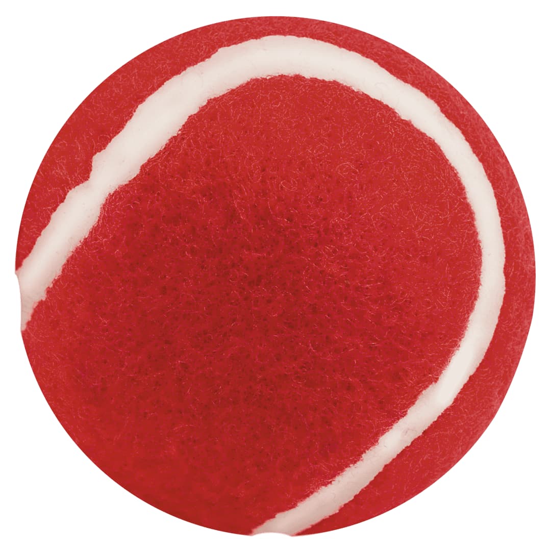Niki Ball