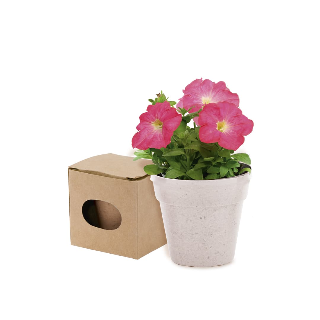 Advert promotional product