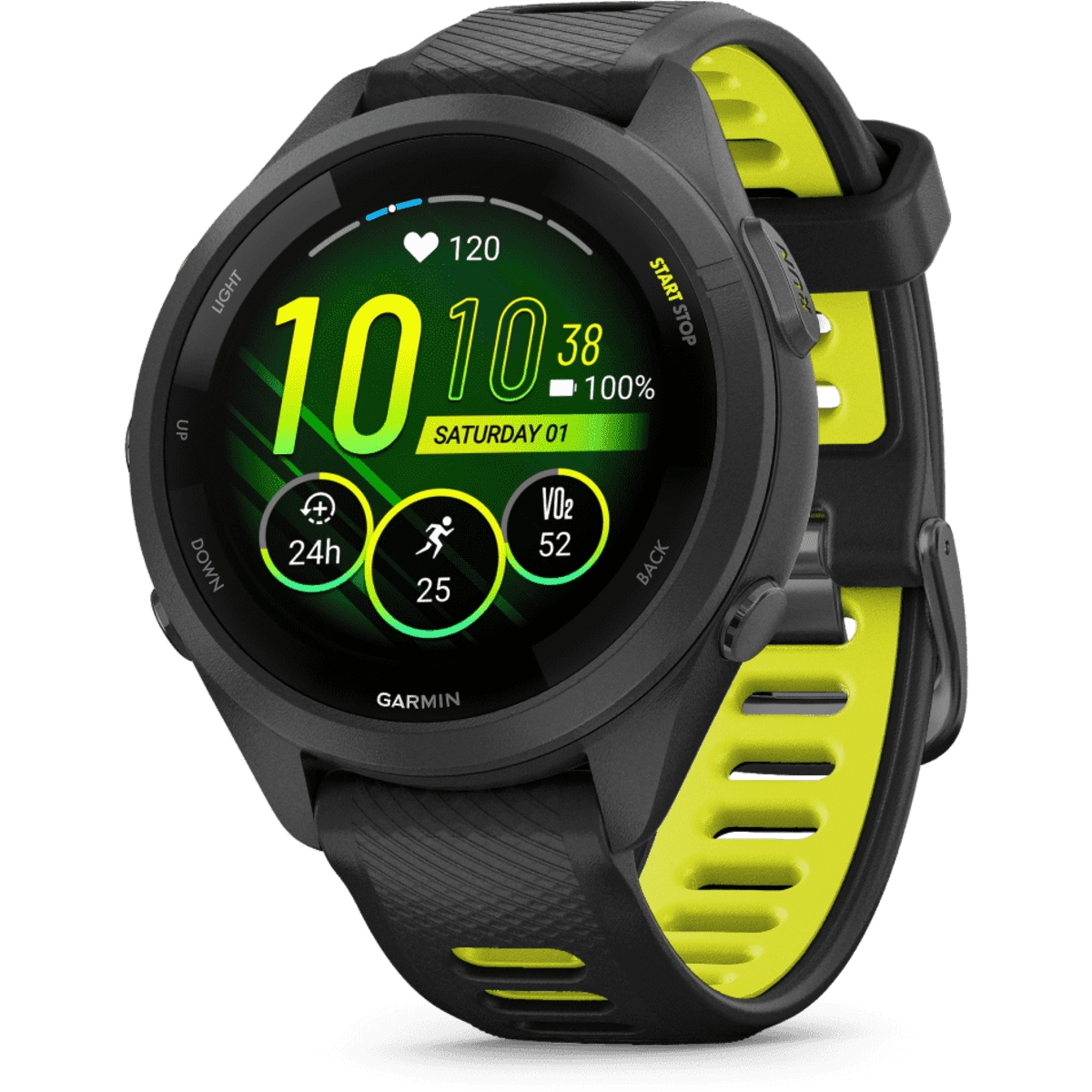gar-010-02810-13-1