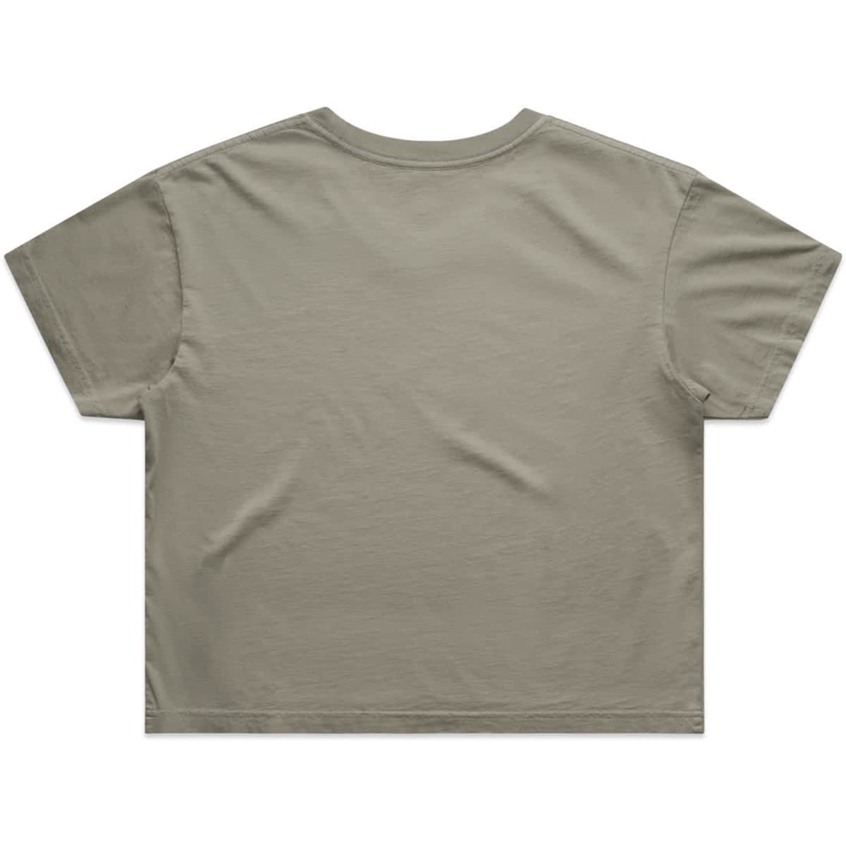 4062f_faded_crop_tee_faded_dust_back__73837.1646774566.1280.1280