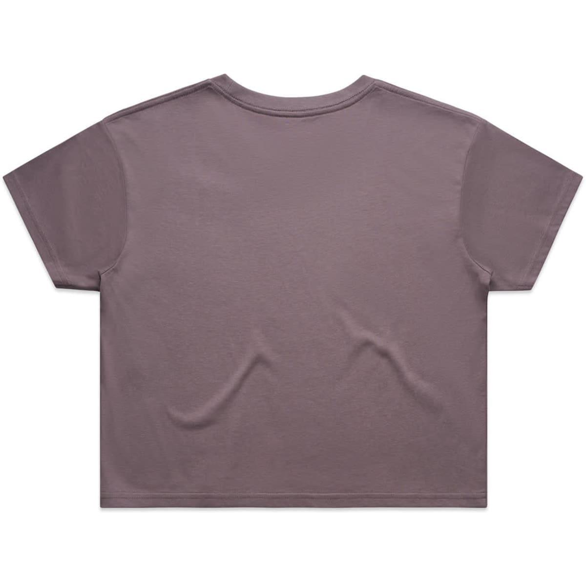 4062f_faded_crop_tee_faded_mauve_back__62185.1654735086.1280.1280__01026.1747773463.1280.1280