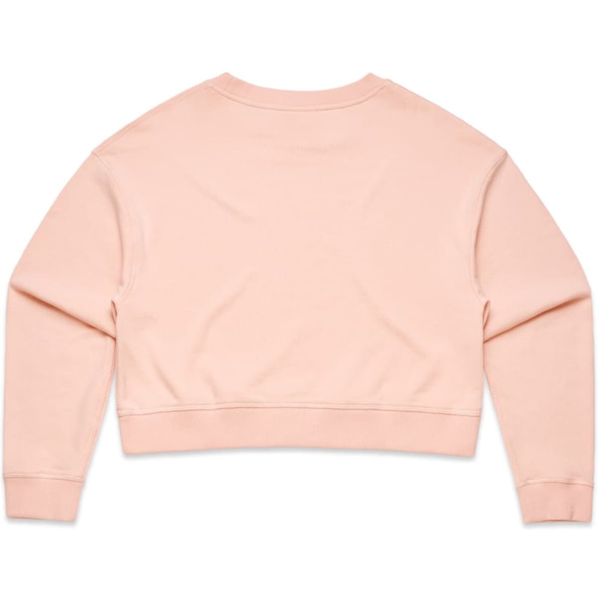 4123_crop_crew_pale_pink_back__10959.1589024513.1280.1280__01451.1741663510.1280.1280