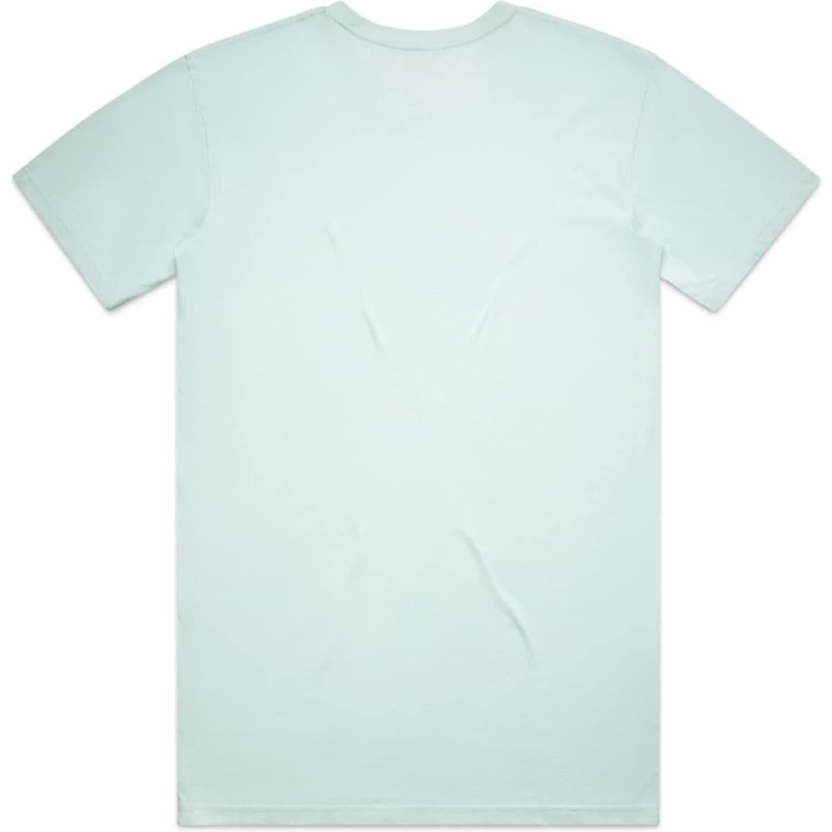 5051_basic_tee_seafoam_back__98937.1785101174.1280.1280