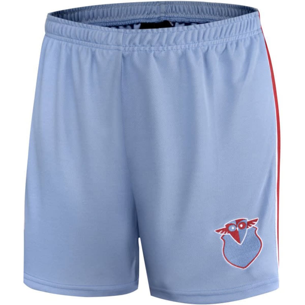Light blue school shorts with a red side stripe and a logo on the front. Made from cotton with a comfortable fit.