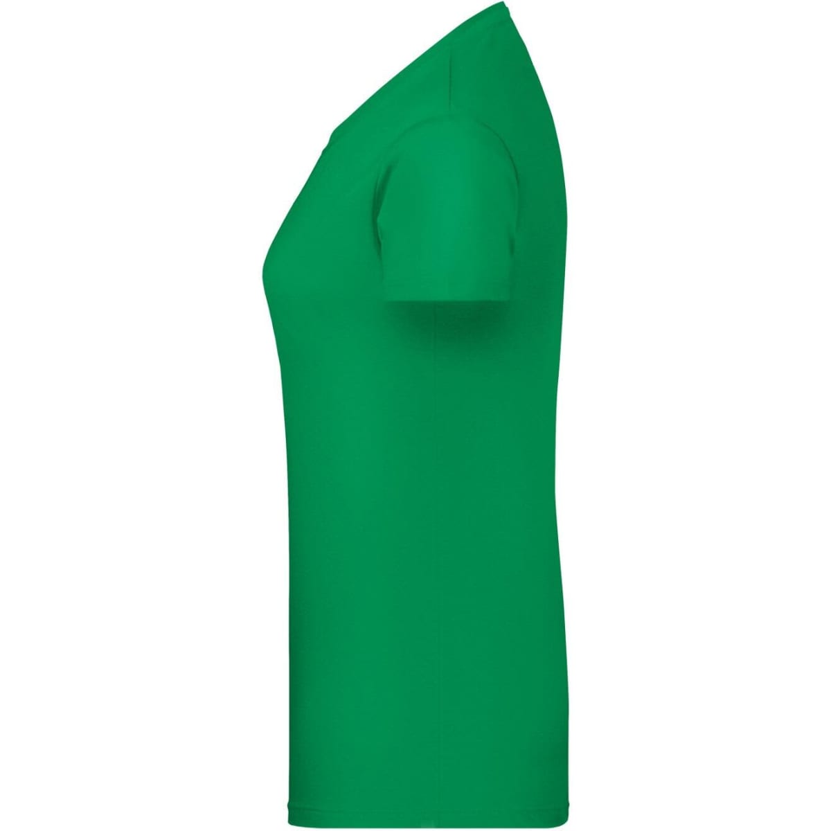 8007-fern-green-2