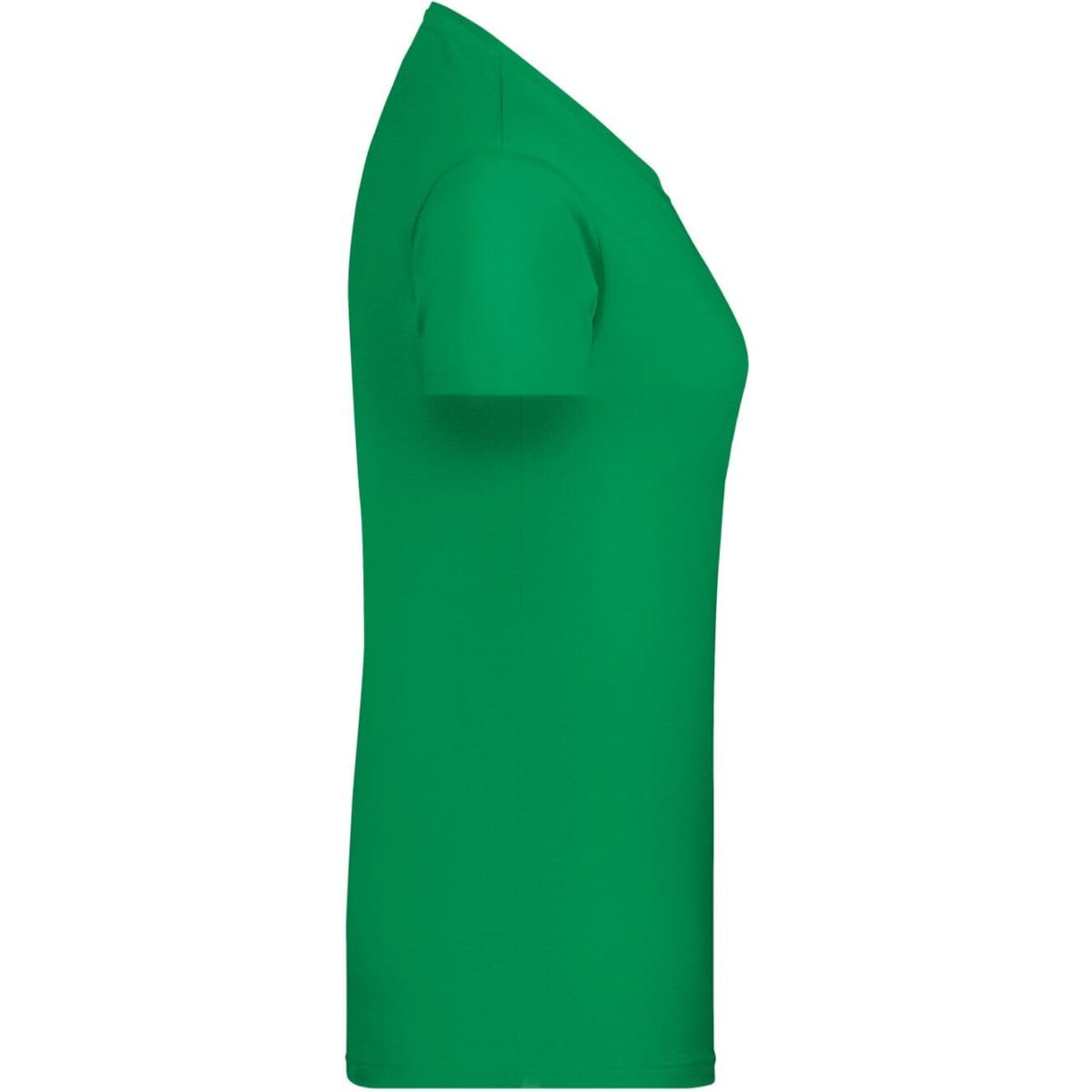 8007-fern-green-3