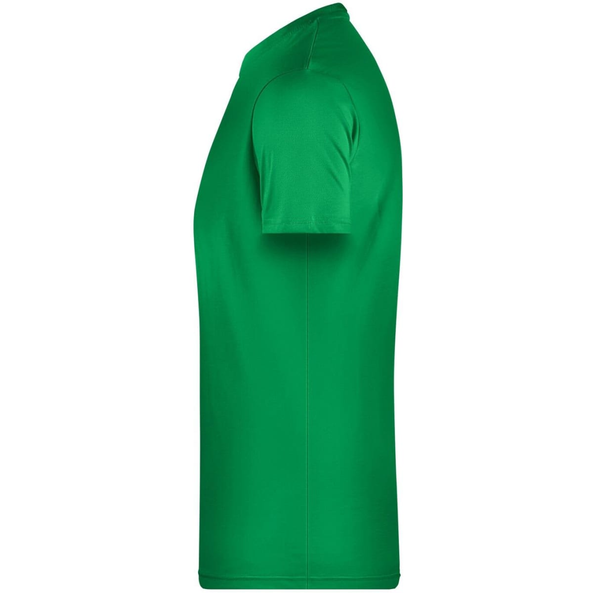 8008-fern-green-2