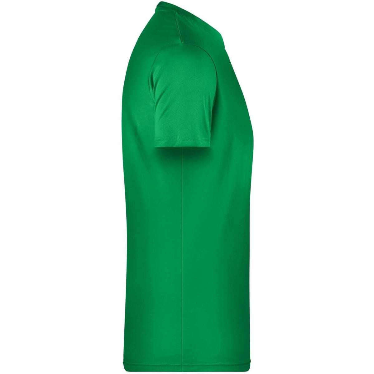 8008-fern-green-3