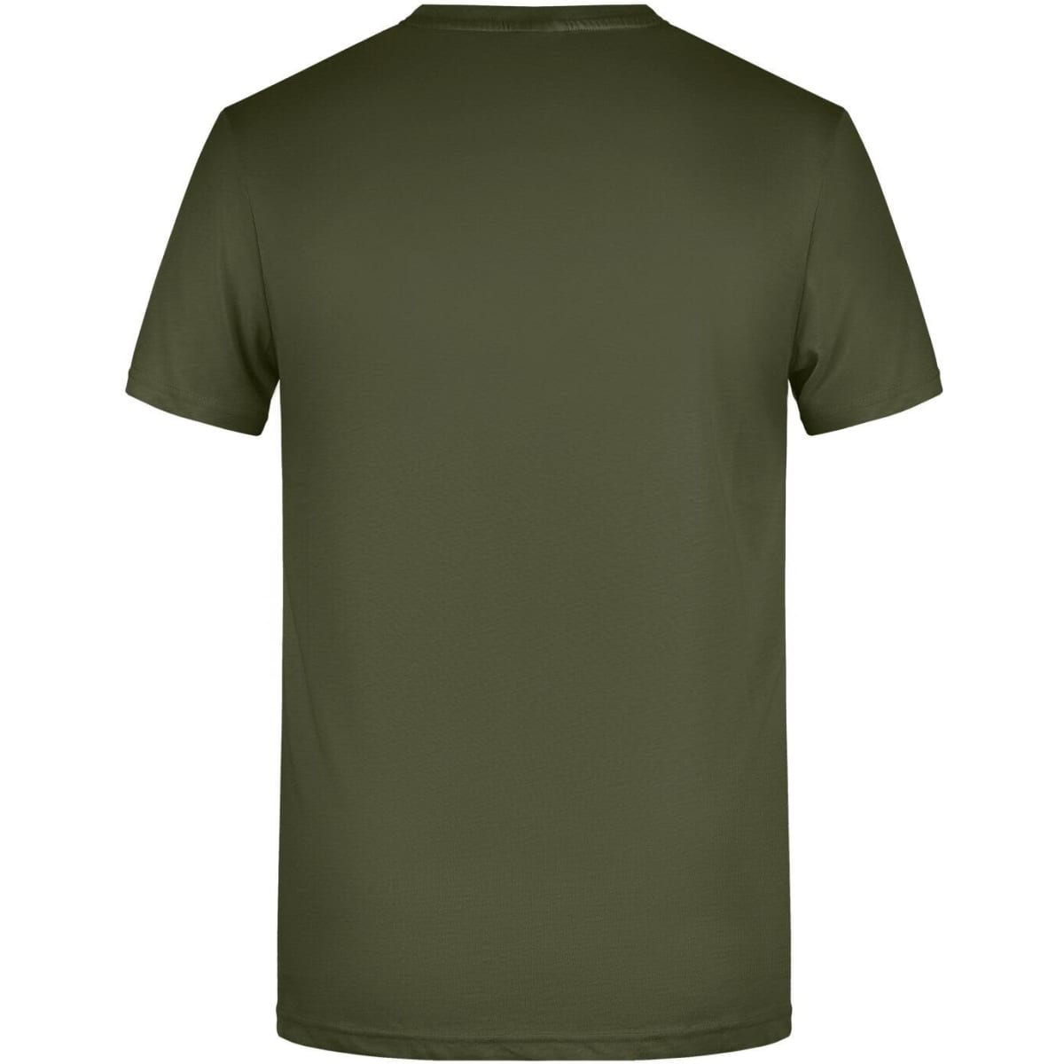8008-olive-4
